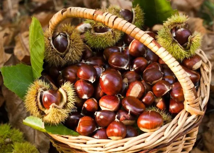 Apartamento Lakeside Attic By Interhome *